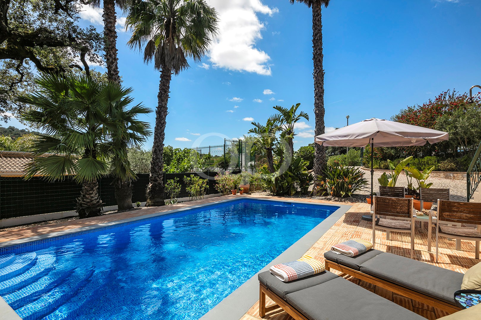 Private swimming pool with sun loungers and tropical landscaping