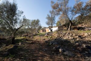 Beautiful plot in the Algarvian countryside with plans for a modern villa
