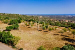 Terrain en hauteur, niché dans un magnifique cadre naturel et offrant une vue imprenable sur la côte