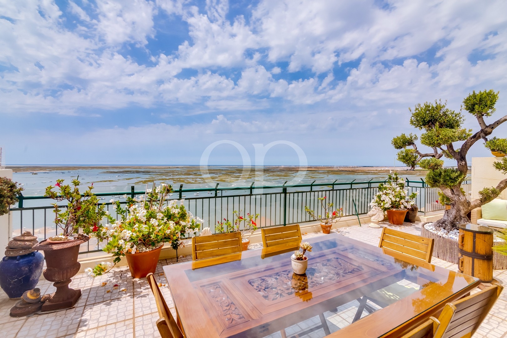 Beautiful terrace with panoramic views across the coastline and surrounding natural landscape