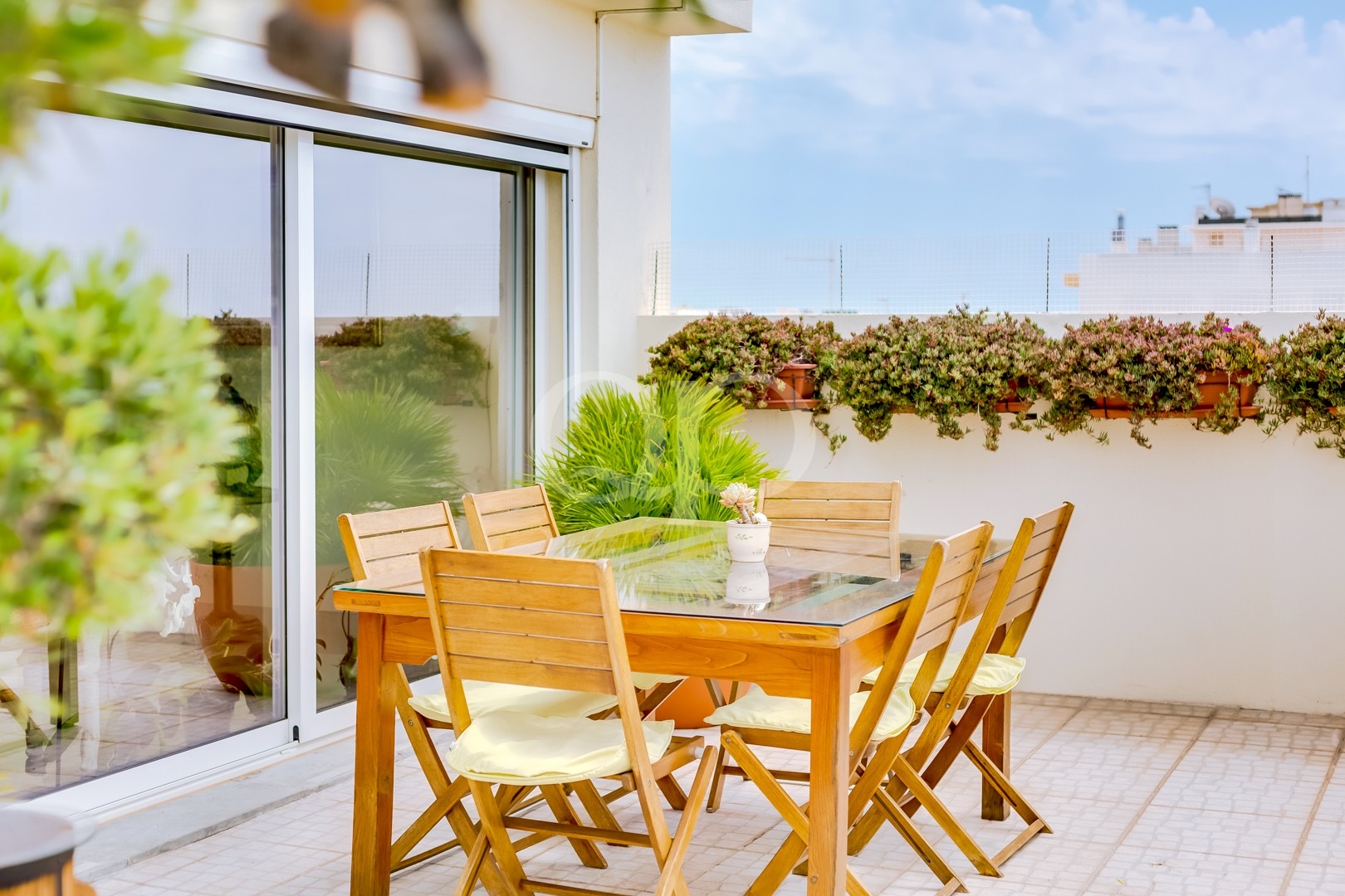 Terraço de refeições ensolarado, com vegetação e um ambiente descontraído ao ar livre