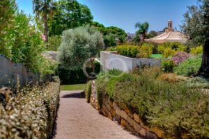 Ein gepflegter, alter Garten mit Olivenbäumen, Sträuchern und Stützmauern aus Stein