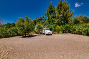 Schotterauffahrt mit altem Baumbestand und eigenem Parkplatz