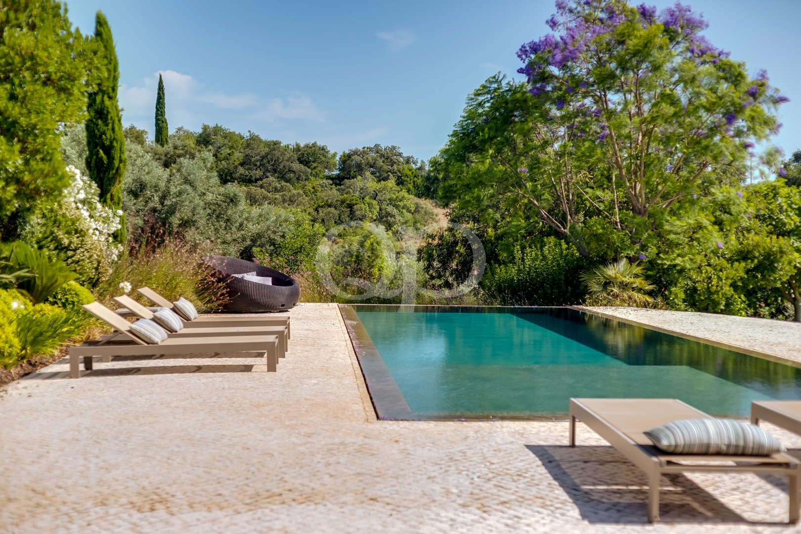 Piscina privada com espreguiçadeiras e jardins mediterrânicos maduros