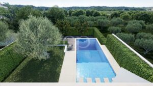 Piscine privée entourée d'un espace vert bien entretenu