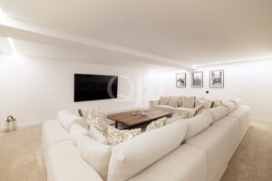 Relaxing TV and Entertainment Room
