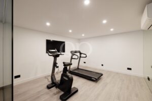 Private Home Gym and Fitness Area