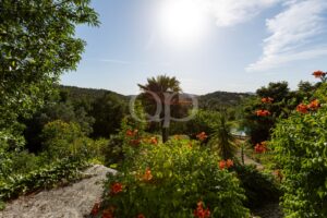 Moradia tradicional na zona rural de Estoi, Algarve - QP Savills