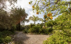 Moradia tradicional na zona rural de Estoi, Algarve - QP Savills