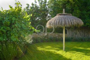 Moradia tradicional na zona rural de Estoi, Algarve - QP Savills