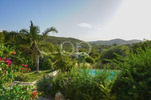 Moradia tradicional na zona rural de Estoi, Algarve - QP Savills