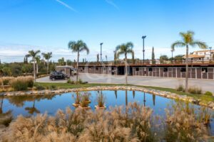 Landscaped pond surrounded by palm trees beside the equestrian stables