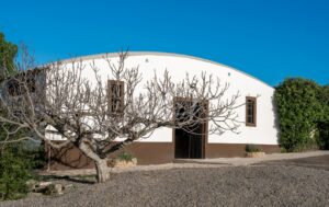 Traditional whitewashed equestrian building with rustic courtyard and mature tree